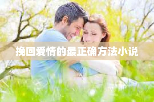 挽回爱情的最正确方法小说