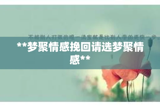 **梦聚情感挽回请选梦聚情感**