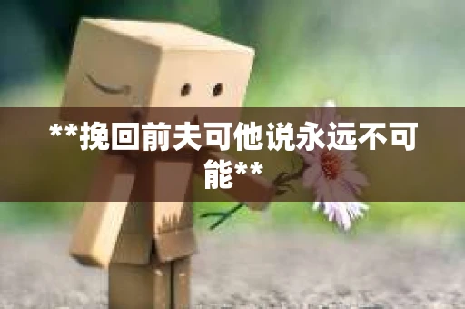 **挽回前夫可他说永远不可能**
