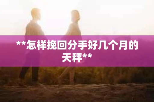 **怎样挽回分手好几个月的天秤**