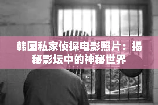 韩国私家侦探电影照片：揭秘影坛中的神秘世界