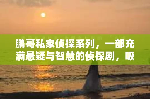 鹏哥私家侦探系列，一部充满悬疑与智慧的侦探剧，吸引了无数观众的眼球。今天，就让我带你走进这个充满神秘色彩的侦探世界，一起在线观看鹏哥私家侦探系列，感受那扣人心弦的故事情节。