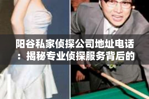 阳谷私家侦探公司地址电话：揭秘专业侦探服务背后的故事