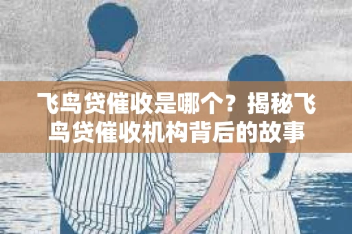 飞鸟贷催收是哪个？揭秘飞鸟贷催收机构背后的故事