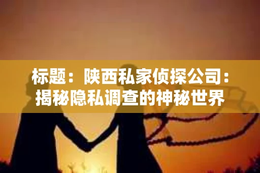 标题：陕西私家侦探公司：揭秘隐私调查的神秘世界