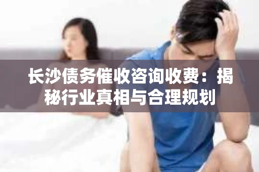 长沙债务催收咨询收费：揭秘行业真相与合理规划