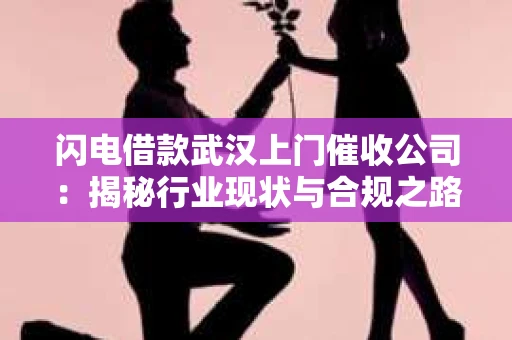 闪电借款武汉上门催收公司：揭秘行业现状与合规之路