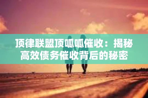 顶律联盟顶呱呱催收：揭秘高效债务催收背后的秘密
