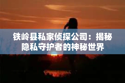 铁岭县私家侦探公司：揭秘隐私守护者的神秘世界
