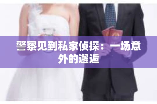 警察见到私家侦探：一场意外的邂逅