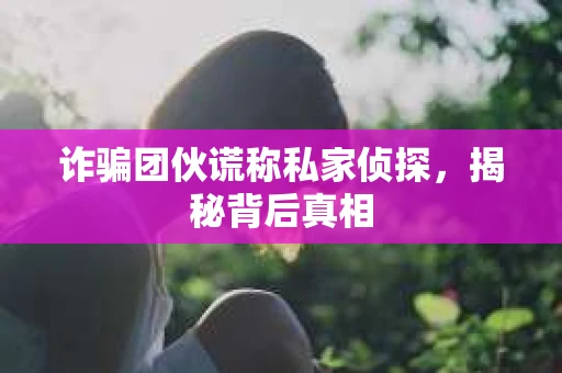 诈骗团伙谎称私家侦探，揭秘背后真相