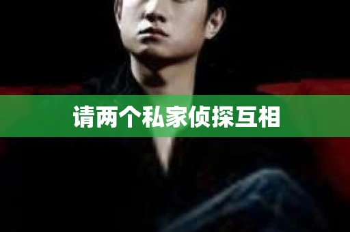请两个私家侦探互相