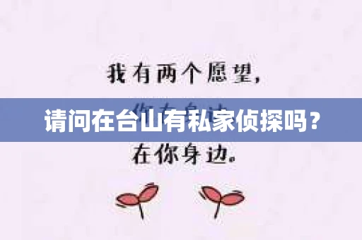 请问在台山有私家侦探吗？