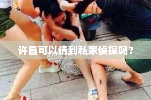 许昌可以请到私家侦探吗？