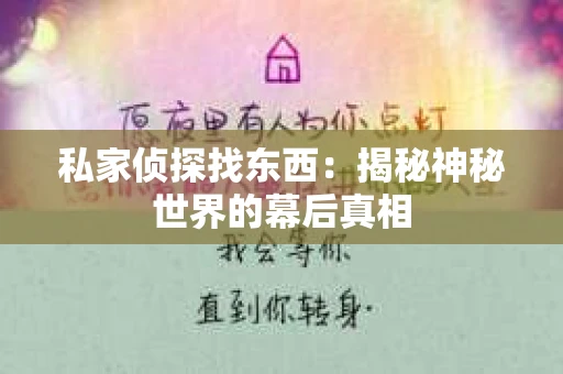 私家侦探找东西：揭秘神秘世界的幕后真相