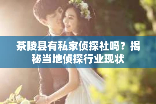 茶陵县有私家侦探社吗？揭秘当地侦探行业现状