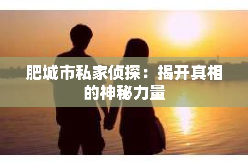 肥城市私家侦探：揭开真相的神秘力量