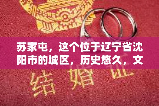 苏家屯，这个位于辽宁省沈阳市的城区，历史悠久，文化底蕴深厚。近年来，随着社会的发展，人们对于私家侦探的需求也逐渐增加。那么，苏家屯有私家侦探吗？今天，我们就来聊聊这个话题。
