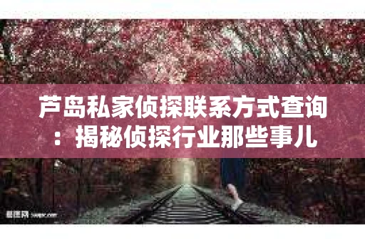 芦岛私家侦探联系方式查询：揭秘侦探行业那些事儿
