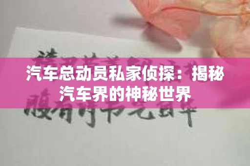 汽车总动员私家侦探：揭秘汽车界的神秘世界