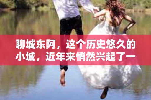 聊城东阿，这个历史悠久的小城，近年来悄然兴起了一股新的服务潮流——私家侦探。今天，我们就来聊聊这个话题，看看在聊城东阿，私家侦探是如何成为人们生活中的一部分的。