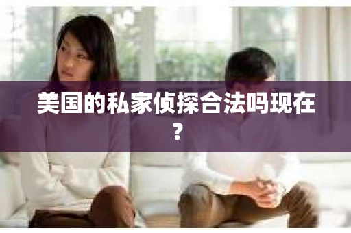 美国的私家侦探合法吗现在？