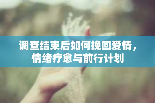 调查结束后如何挽回爱情，情绪疗愈与前行计划