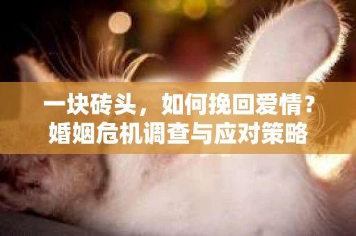 一块砖头，如何挽回爱情？婚姻危机调查与应对策略