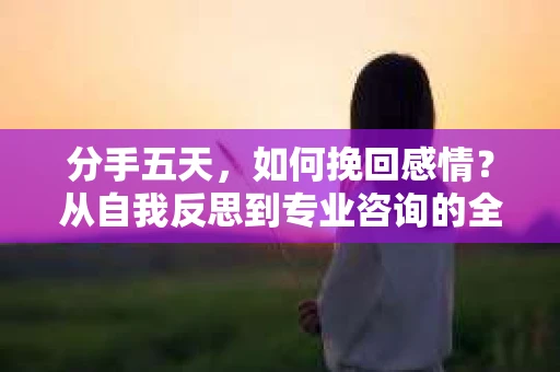 分手五天,如何挽回感情?从自我反思到专业咨询的全面解决方案 分手五天,如何挽回感情?从自我反思到专业咨询的全面解决方案