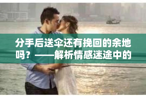 分手后送伞还有挽回的余地吗？——解析情感迷途中的决策