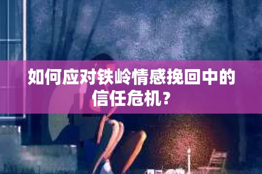 如何应对铁岭情感挽回中的信任危机？