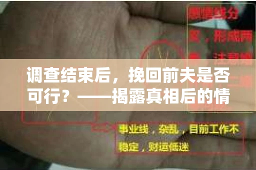 调查结束后，挽回前夫是否可行？——揭露真相后的情感疗愈与人生决策