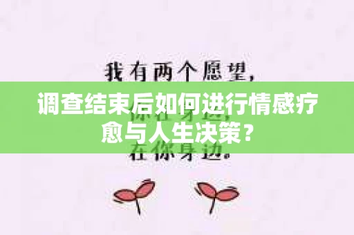 调查结束后如何进行情感疗愈与人生决策？